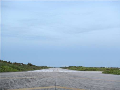 東沙機場跑道二側是島上沙生馬齒莧的主要分佈地區。
