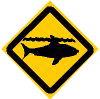 小心鯊魚