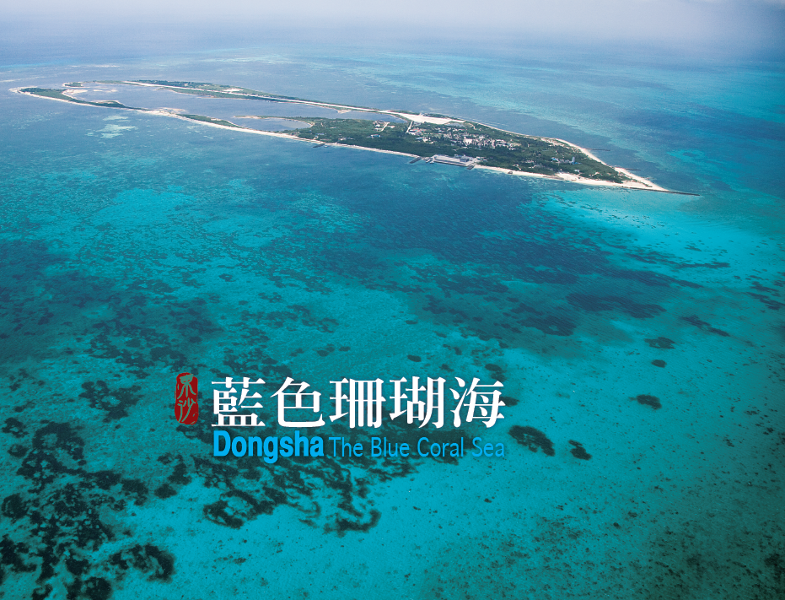 藍色珊瑚海攝影集 - 藍色珊瑚海