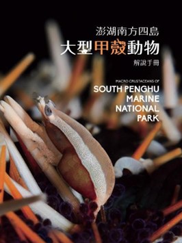 這是一張圖片