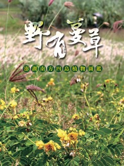這是一張圖片 這是一張圖片