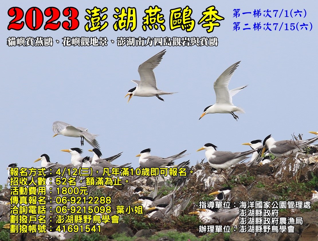 這是一張圖片