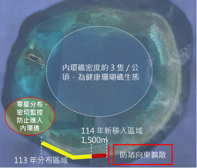 東沙棘冠海星分布