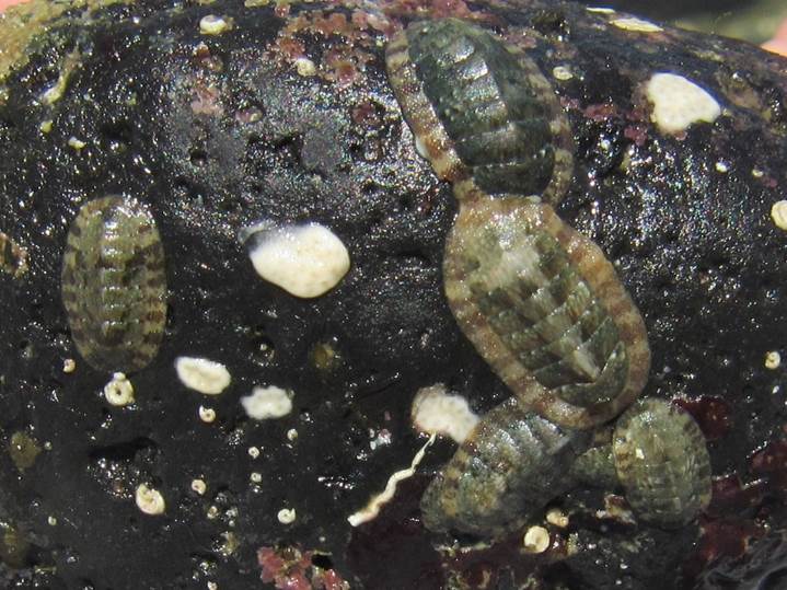 10_2018040202 10_2018040202