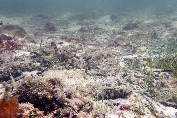 11_2018040203 11_2018040203