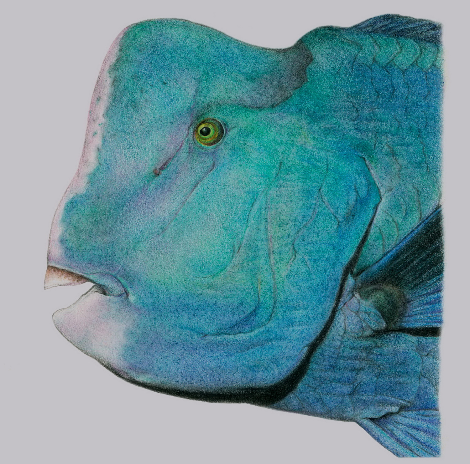 17_2018012901 17_2018012901