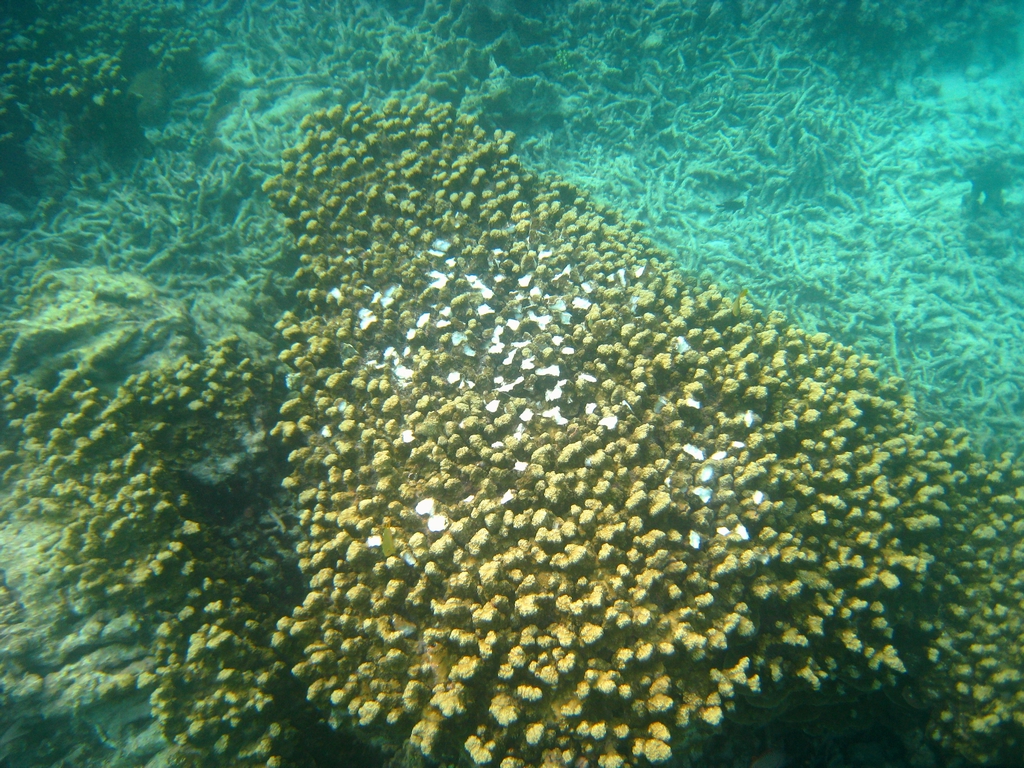 18_2018012903 18_2018012903