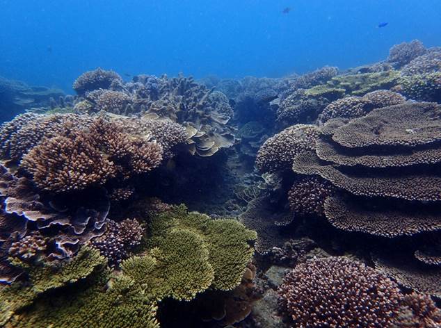 19_2018012401 19_2018012401