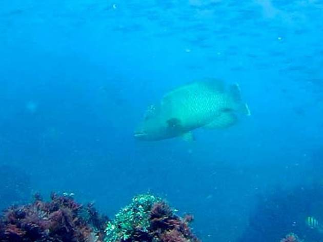 20_2018012402 20_2018012402