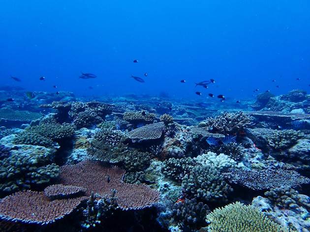 28_2017100202 28_2017100202