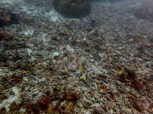 30_2017100204 30_2017100204