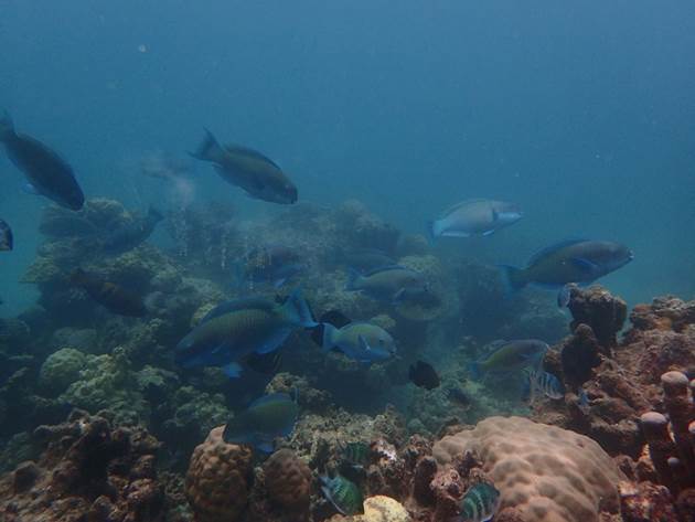 32_2017100206 32_2017100206