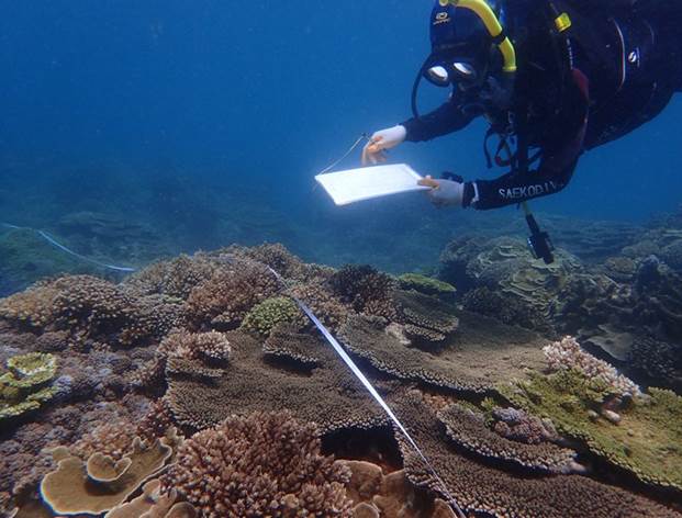 37_2017091202 37_2017091202