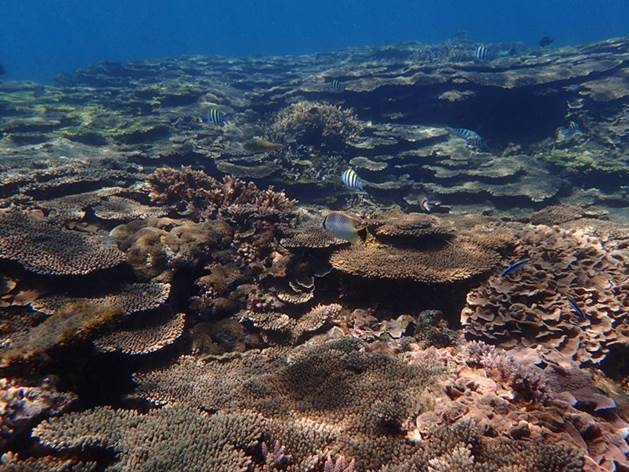 38_2017091203 38_2017091203