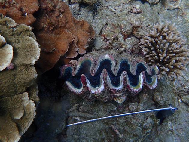 39_2017091204 39_2017091204