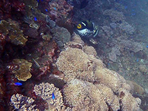 40_2017091205 40_2017091205