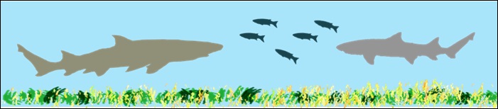 43_2017090806 43_2017090806