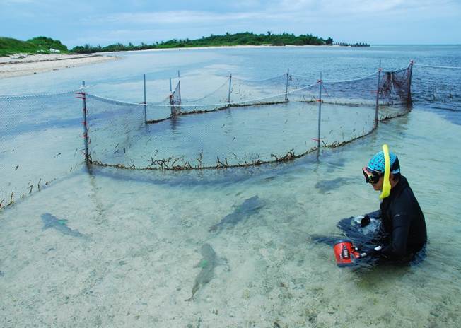 44_2017090801 44_2017090801