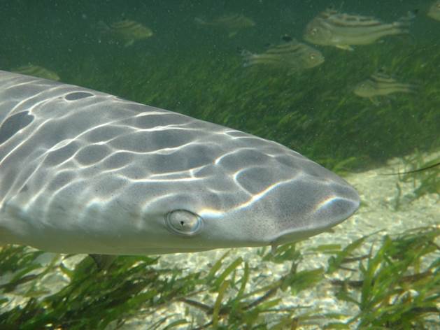 46_2017090803 46_2017090803