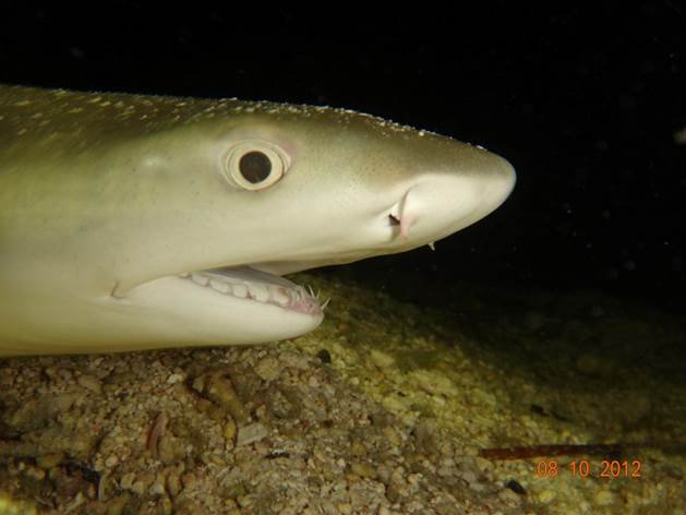 47_2017090804 47_2017090804