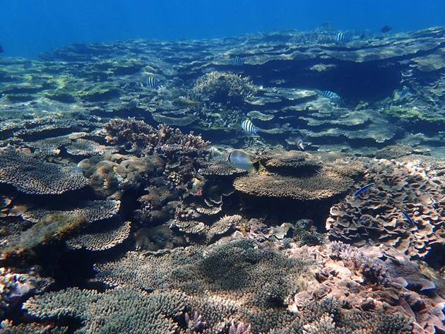 58_2017051801 58_2017051801