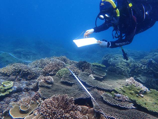 59_2017051802 59_2017051802