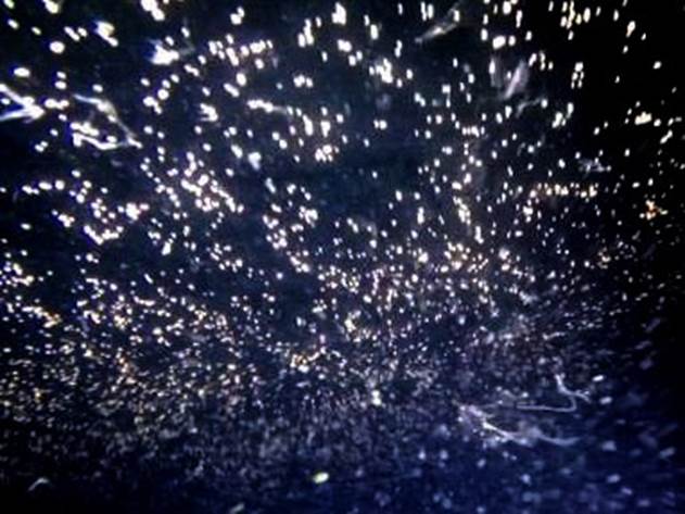 61_2017051804 61_2017051804