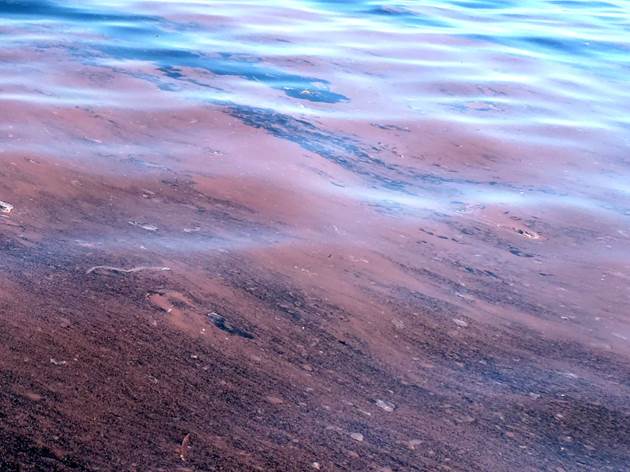 62_2017051805 62_2017051805