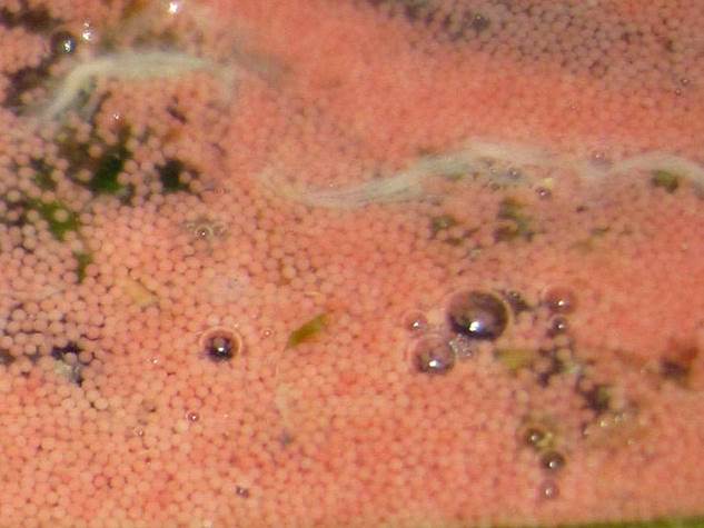 63_2017051806 63_2017051806