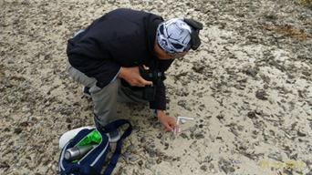 現地調查工作 現地調查工作