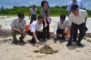 Releasing the sea turtles Releasing the sea turtles