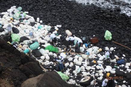 佈滿保麗龍的海岸 佈滿保麗龍的海岸