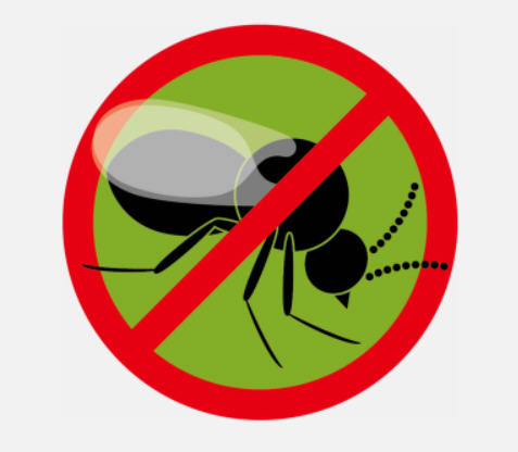 防治小黑蚊 防治小黑蚊