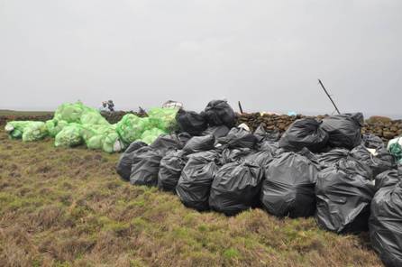 淨灘活動成果 淨灘活動成果