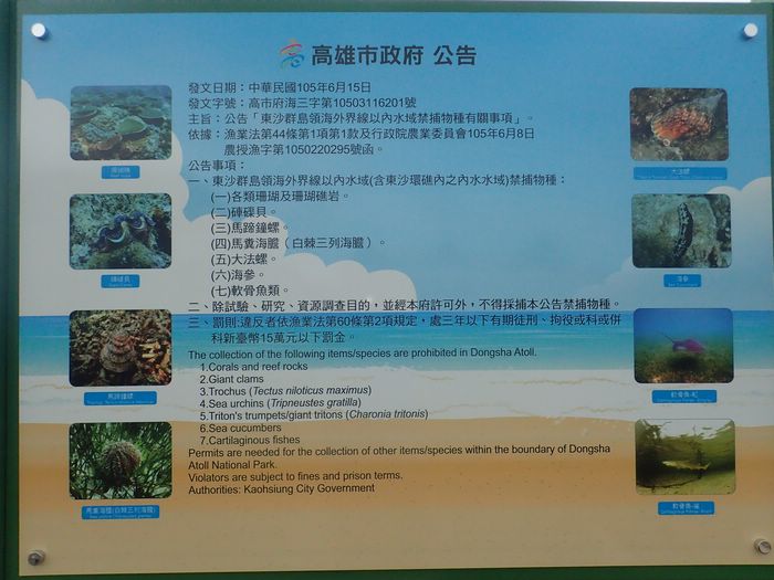 高雄市政府公告 高雄市政府公告