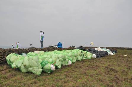 淨灘活動成果 淨灘活動成果