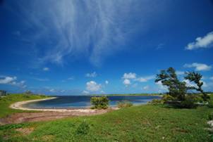 東沙島具有潟湖、溼地、沙灘與植被等不同環境,提供過境候鳥休息與覓食服務功能 東沙島具有潟湖、溼地、沙灘與植被等不同環境,提供過境候鳥休息與覓食服務功能