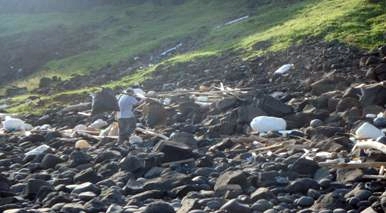 以人力扁擔挑兩包保特瓶等垃圾搬運 以人力扁擔挑兩包保特瓶等垃圾搬運