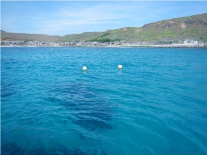 圖三、東嶼坪嶼港區右側設置的繫船浮球。 圖三、東嶼坪嶼港區右側設置的繫船浮球。