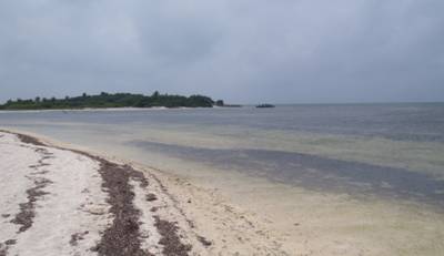 東沙島西岸的海草床淺水區,為雙葉腹瓢鰕虎的主要棲息地。(廖震亨/攝) 東沙島西岸的海草床淺水區,為雙葉腹瓢鰕虎的主要棲息地。(廖震亨/攝)