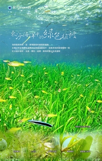 東沙海草床展示內容示意圖 東沙海草床展示內容示意圖