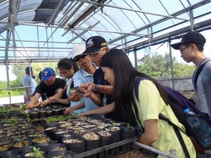 大家一起為東沙種一棵小樹苗,協助島上的原生植物復育 大家一起為東沙種一棵小樹苗,協助島上的原生植物復育