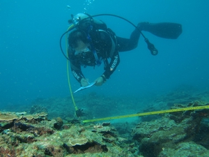 圖2. 調查人員在西吉嶼海域進行珊瑚礁總體檢,珊瑚覆蓋率佳(海管處提供) 圖2. 調查人員在西吉嶼海域進行珊瑚礁總體檢,珊瑚覆蓋率佳(海管處提供)