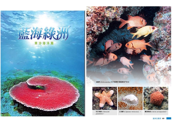 「藍海綠洲-東沙海洋篇」於外環礁北側海域拍攝之軸孔珊瑚封面及內頁東沙豐富且多樣的海洋生物資源。 「藍海綠洲-東沙海洋篇」於外環礁北側海域拍攝之軸孔珊瑚封面及內頁東沙豐富且多樣的海洋生物資源。