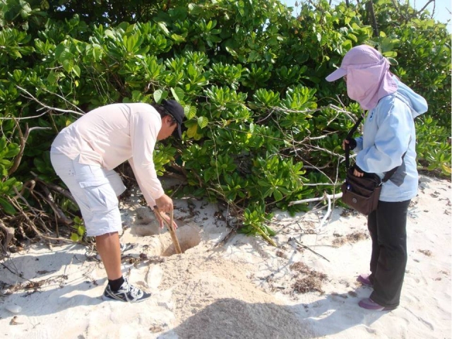 圖三、利用衛星定位及鏟子清除上層沙子。 圖三、利用衛星定位及鏟子清除上層沙子。