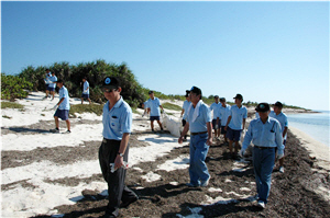 圖4:淨灘後的沙灘只保留乾枯的海草 圖4:淨灘後的沙灘只保留乾枯的海草