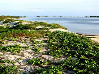 圖1:東沙美麗的潟湖岸深藏著有不少遺址,等待發掘。 圖1:東沙美麗的潟湖岸深藏著有不少遺址,等待發掘。