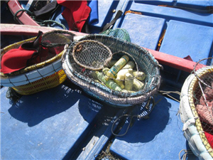 圖2:查扣之氰酸鉀將運回台灣處理 圖2:查扣之氰酸鉀將運回台灣處理