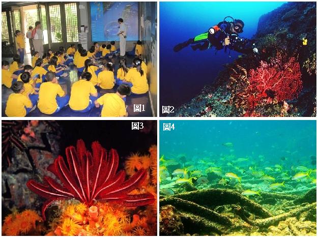 圖1.本處志工在解說服務中心為參訪的學童作詳盡的解說。圖2.東沙海域觀測珊瑚復育情形。圖3.東沙的巨翅美羽枝。圖4.東沙環礁海域沉船成為魚類棲息的樂園。 圖1.本處志工在解說服務中心為參訪的學童作詳盡的解說。圖2.東沙海域觀測珊瑚復育情形。圖3.東沙的巨翅美羽枝。圖4.東沙環礁海域沉船成為魚類棲息的樂園。