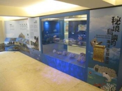 特展展場－澎湖南方四島海洋生態介紹